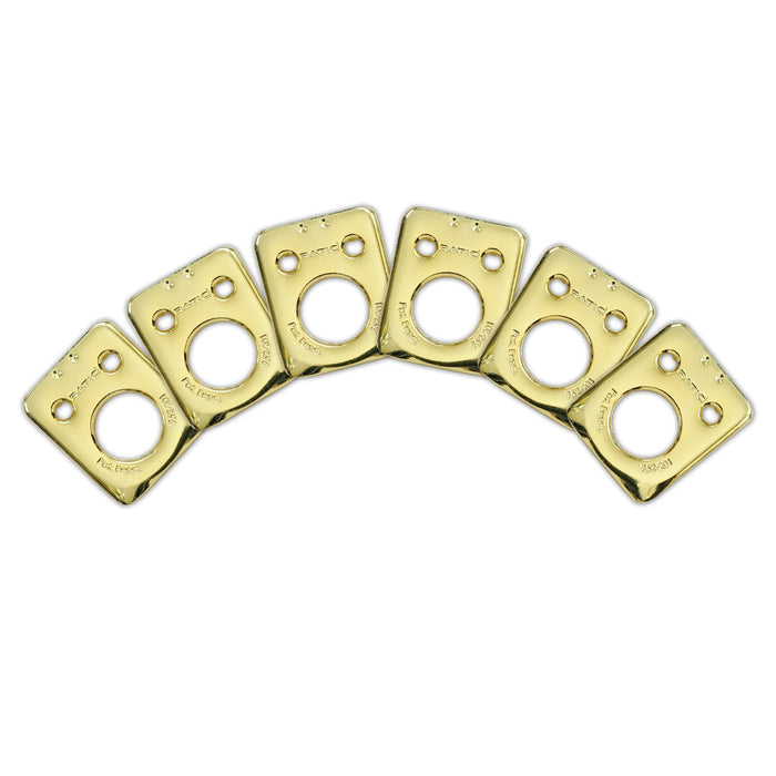 GraphTech Ratio Plate For Fender Style 2 Pin Hole Gold