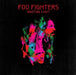 Wasting Light By Foo Fighters Vinyl / 12" Album - Guitar Warehouse
