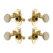 Grover Sta-tite Ukulele Pegs (Set of 4) ~ Gold ~ White