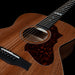 Godin Fairmount Composer Element Electro-Acoustic Guitar