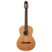 Godin Etude Clasica II Nylon String Electro Guitar
