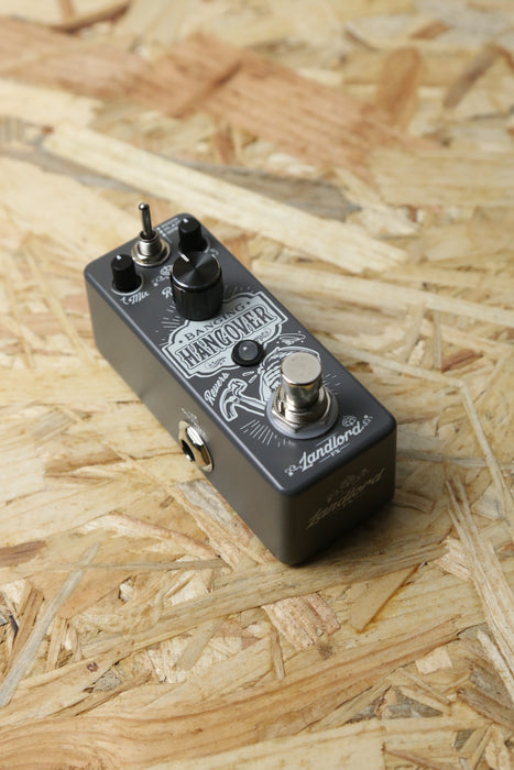 Landlord Banging Hangover Reverb Pedal - Boxed - Pre-owned