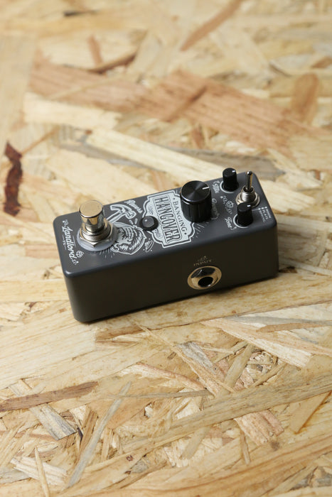 Landlord Banging Hangover Reverb Pedal - Boxed - Pre-owned