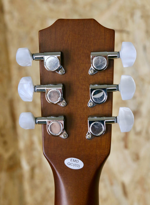 James Neligan EW3000 CBK Acoustic Guitar in Black - B-Stock