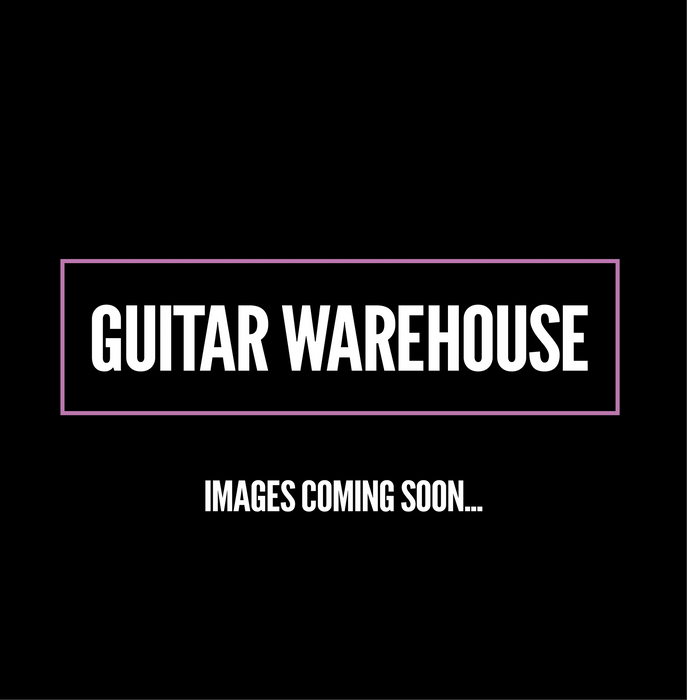 1993 Epiphone PR400 - Pre-owned