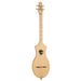 Seagull M4 ~ Natural Spruce