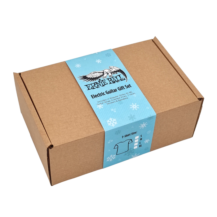 Ernie Ball Electric Guitar Gift Set (Large)