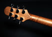 Shergold Provocateur Standard SP12 Dirty Blonde Electric Guitar - Guitar Warehouse