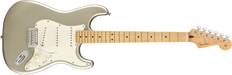 Fender Limited Edition Player Stratocaster®, Maple Fingerboard, Inca Silver - Guitar Warehouse