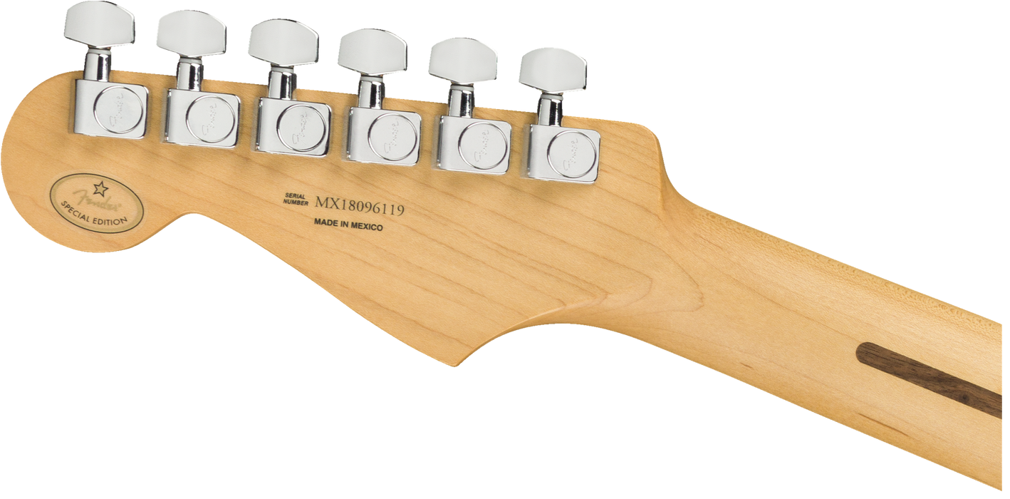 Fender Limited Edition Player Stratocaster®, Maple Fingerboard, Inca Silver - Guitar Warehouse