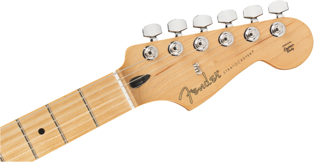 Fender Limited Edition Player Stratocaster®, Maple Fingerboard, Inca Silver - Guitar Warehouse