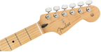 Fender Limited Edition Player Stratocaster®, Maple Fingerboard, Inca Silver - Guitar Warehouse