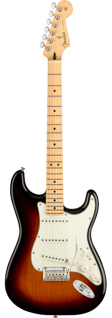 Fender Player Stratocaster®, Maple Fingerboard, 3-Color Sunburst - Guitar Warehouse