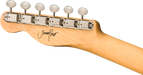 Fender Jimmy Page Dragon Telecaster®, Rosewood Fingerboard, Natural - Guitar Warehouse