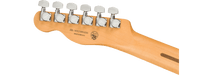 Fender Player Plus Nashville Telecaster®, Pau Ferro Fingerboard, Opal Spark - Guitar Warehouse