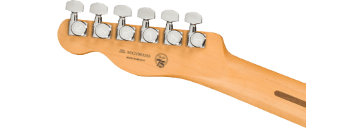 Fender Player Plus Nashville Telecaster®, Pau Ferro Fingerboard, Opal Spark - Guitar Warehouse