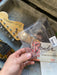 1979 Fender Stratocaster USA Hard Tail Black w/Maple Neck! All Original Parts/Tags | One Owner! - Guitar Warehouse