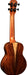 Barnes & Mullins Concert Ukulele - Solid Spruce / Acacia . Inc. Padded Gigbag - Guitar Warehouse