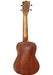 Tanglewood Concert Ukulele All Mahogany Whiskey Barrel Satin - Guitar Warehouse